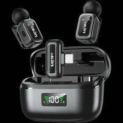 Ven-Dens VD-MIC026 dual wireless microphone