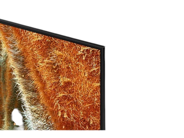OBtech Samsung 65 inch Neo QLED 4K smart TV showing a vibrant close-up of textured orange fur on the slim bezel screen.